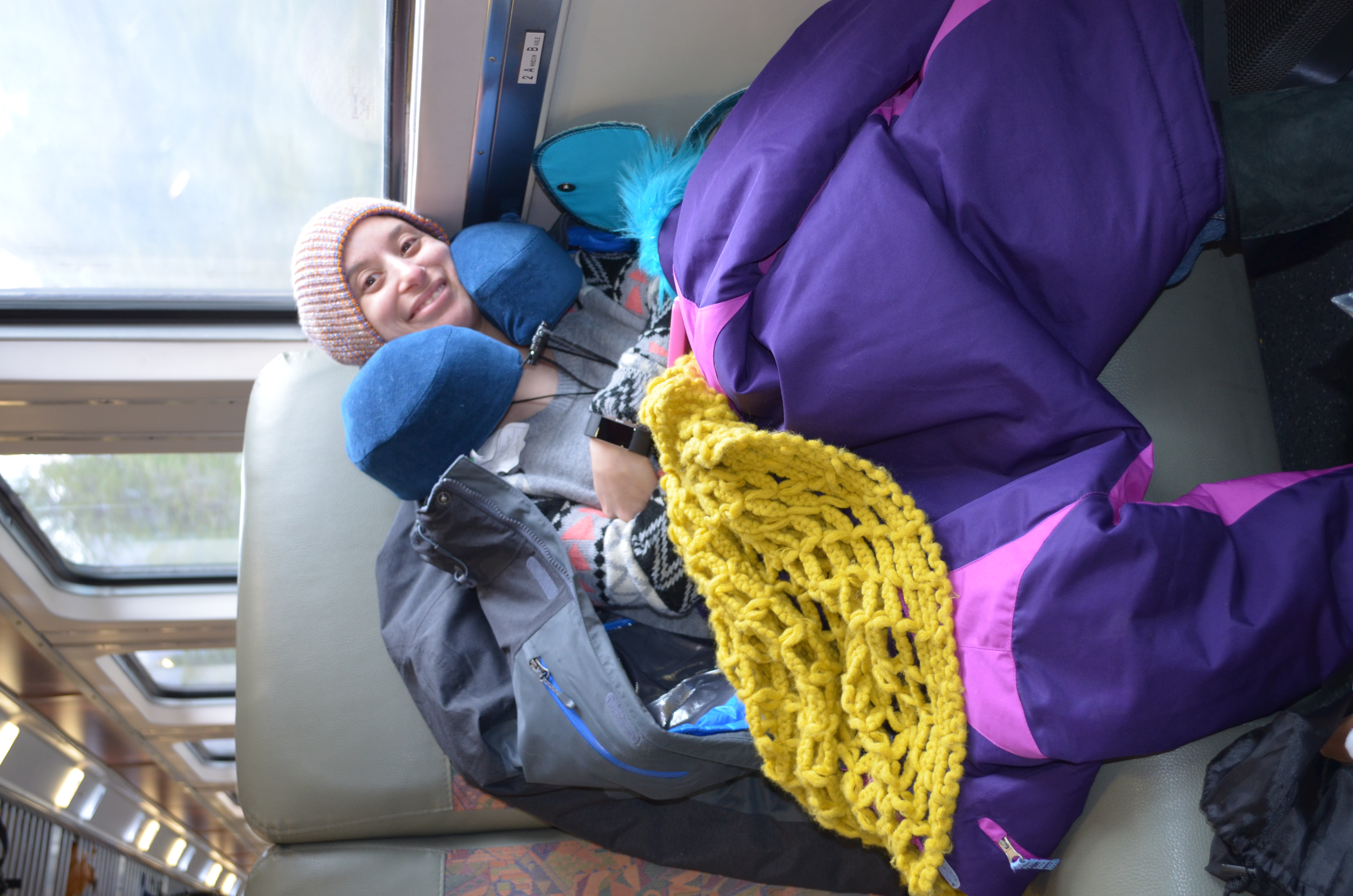 ./2017/08 - Alaska Cruise/05 - Train to Seward/DSC_0582.JPG